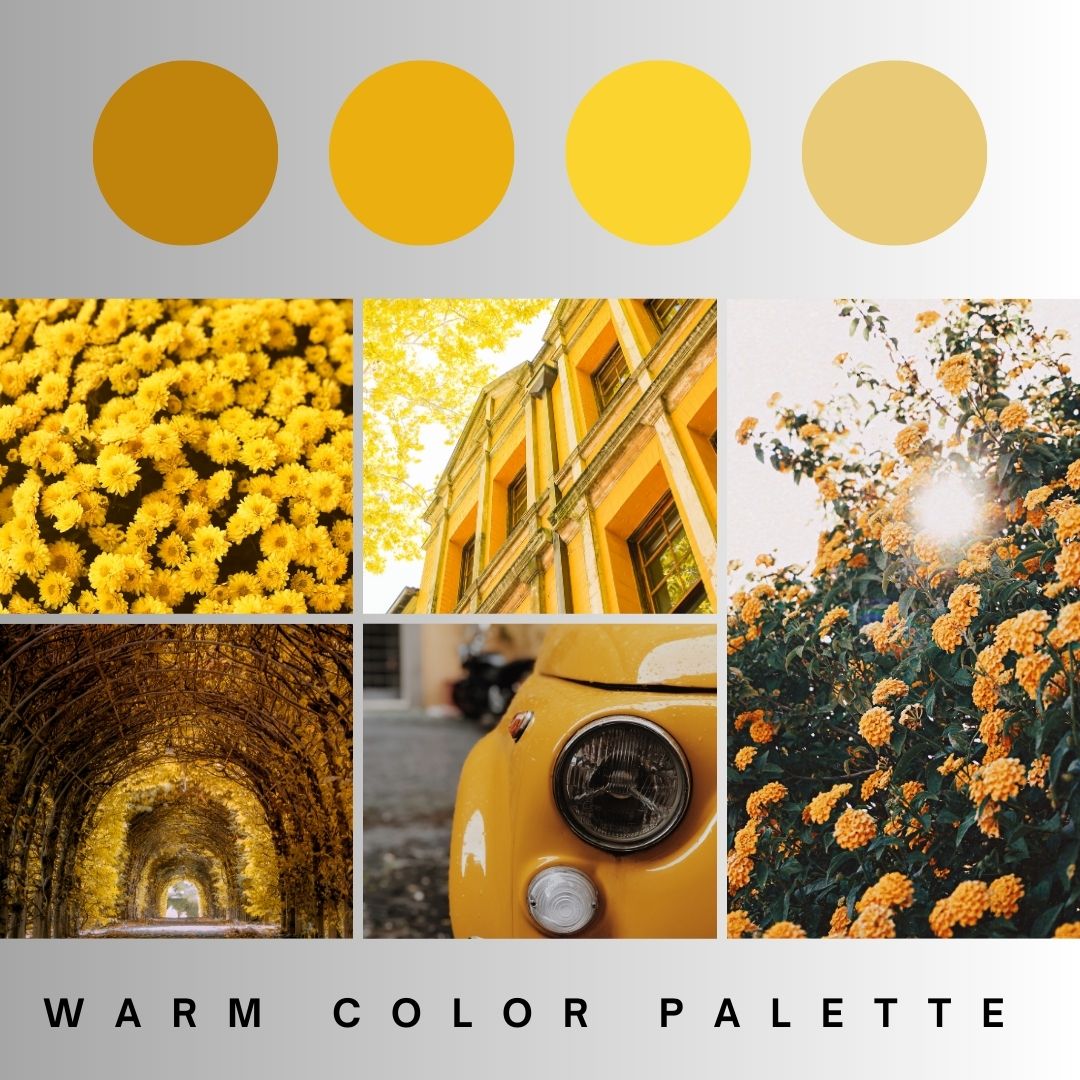 warm color
